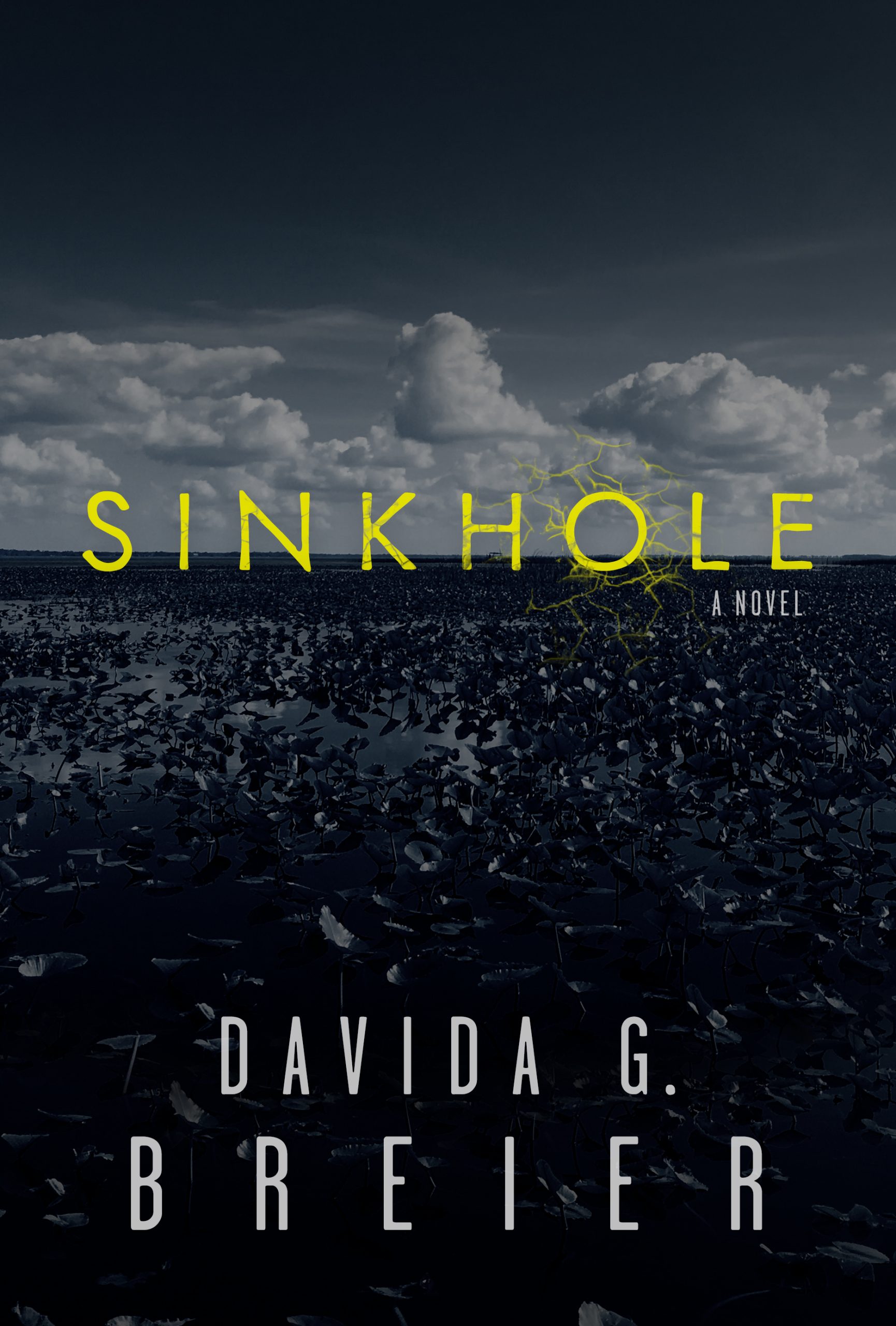 Sinkhole by Davida G. Breier